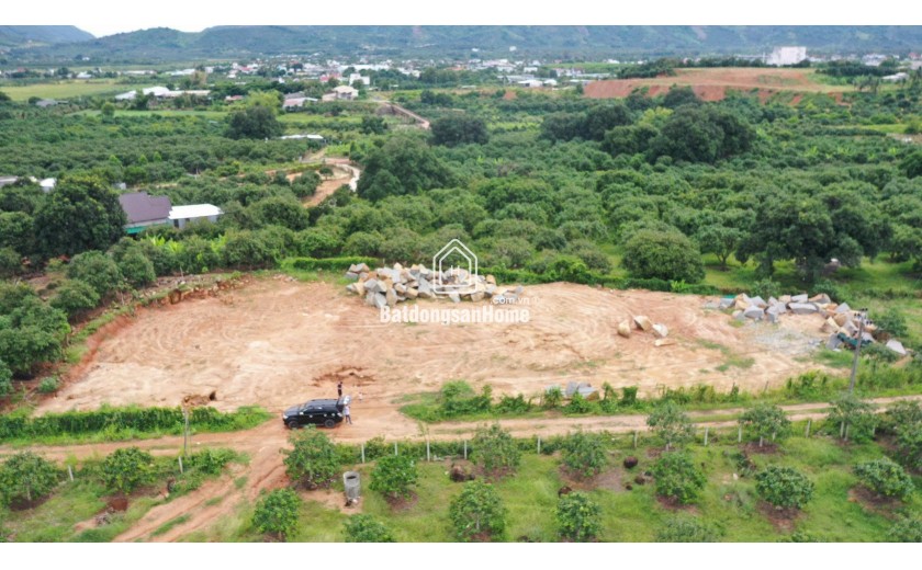 Bán đất nền cam lâm full thổ cư giá siêu rẻ tr/m2. đối diện khu công nghiệp Suối -dầu . có 14 nền ZalO79-53.53.53O