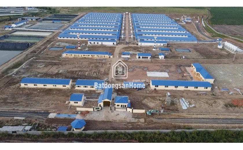 Bán Trang trại heo 26 Ha -Chư Prông, Gia Lai. Quy mô 18.000 heo thịt, Đang cho thuê 1.1 tỷ/tháng