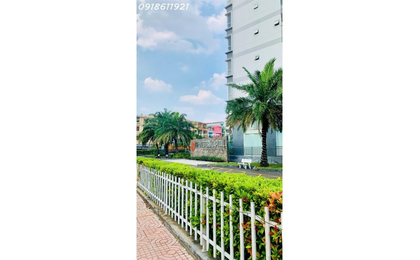 Căn hộ 50m² – Chỉ 1,65 tỷ tại The Western Capital Q6  Suất nội bộ cực hiếm đầu 2026!