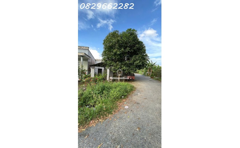 Nhà mặt phố 219m2 Sổ Hồng, hướng Nam KDC Xẻo Vạt, Tân Phú Trung, Đồng Tháp. Giá 1.95 tỷ.