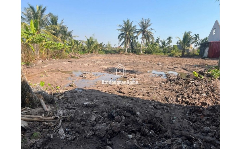 CƠ HỘI ĐẦU TƯ / LÀM NHÀ VƯỜN SIÊU ĐẸP – HỢP ĐỨC, NAM ĐỒ SƠN