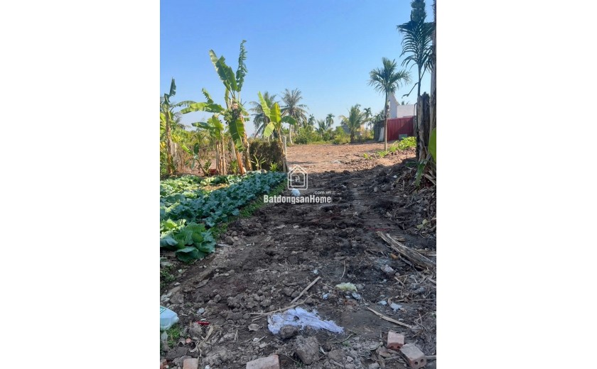 CƠ HỘI ĐẦU TƯ / LÀM NHÀ VƯỜN SIÊU ĐẸP – HỢP ĐỨC, NAM ĐỒ SƠN