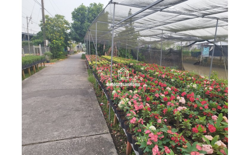 Bán Đất Mặt Tiền Đường Phạm Hồng Thái, Sa Đéc, 308m2, Sổ Hồng