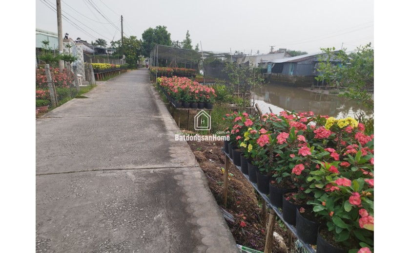 Bán Đất Mặt Tiền Đường Phạm Hồng Thái, Sa Đéc, 308m2, Sổ Hồng