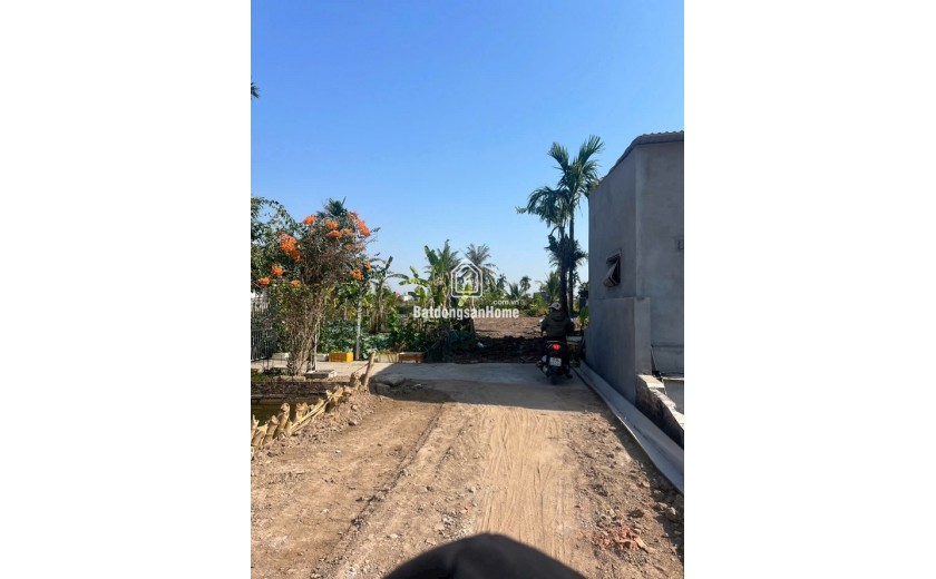 CƠ HỘI ĐẦU TƯ / LÀM NHÀ VƯỜN SIÊU ĐẸP – HỢP ĐỨC, NAM ĐỒ SƠN