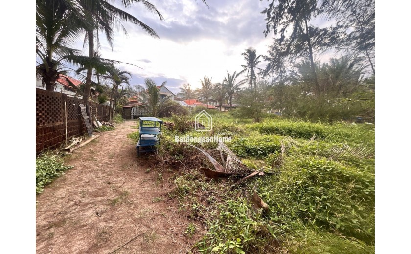 Chính chủ chuyển nhượng đất biển An Bàng 1087m² mặt tiền 32m, giá 55.5 tỷ