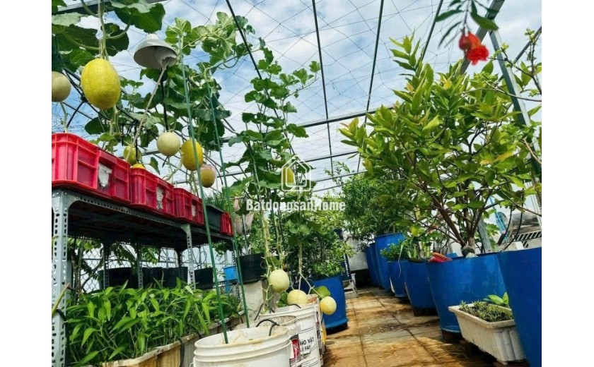 Bán nhà 3 tầng, đường số 38, Hiệp Bình Chánh, Thủ Đức, TP HCM - diện tích 59m2, giá 6,45 tỷ. Sổ Hồng chính chủ.