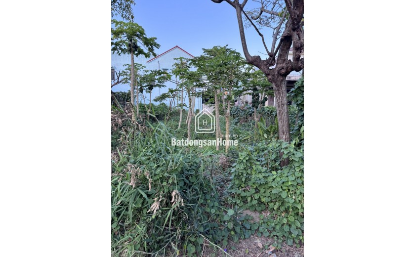 Bán đất mặt tiền Trần Nhân Tông Cẩm Thanh, 200m², trục du lịch Hội An, giá 6,5 tỷ