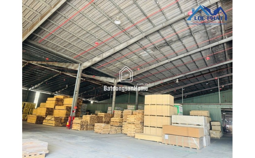 Cho Thuê xưởng cụm công nghiệp Thạnh phú Vĩnh cửu 24.000 m2 chỉ 3 usd/m2