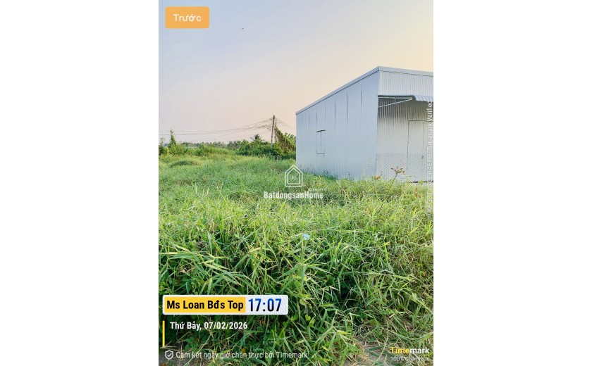 Bán đất thổ cư 124,4m² xã Thanh Vĩnh Đông, Châu Thành, Long An sổ hồng riêng