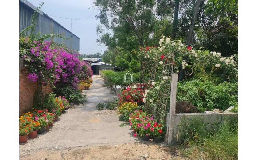 Đắt Phú Quốc giá đầu tư, giao dịch trực tiếp với chính chủ