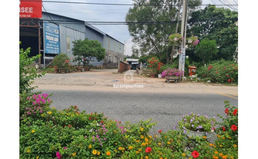 Đất Phú Quốc giảm 30% so với khu vực - Chính chủ cần bán gấp