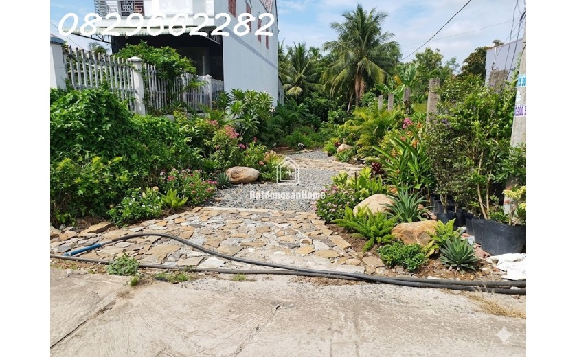 Bán Đất Thổ Cư Sổ Hồng 305m2 Đường Phạm Hồng Thái, TP. Sa Đéc, Đồng Tháp. Giá 2 Tỷ.