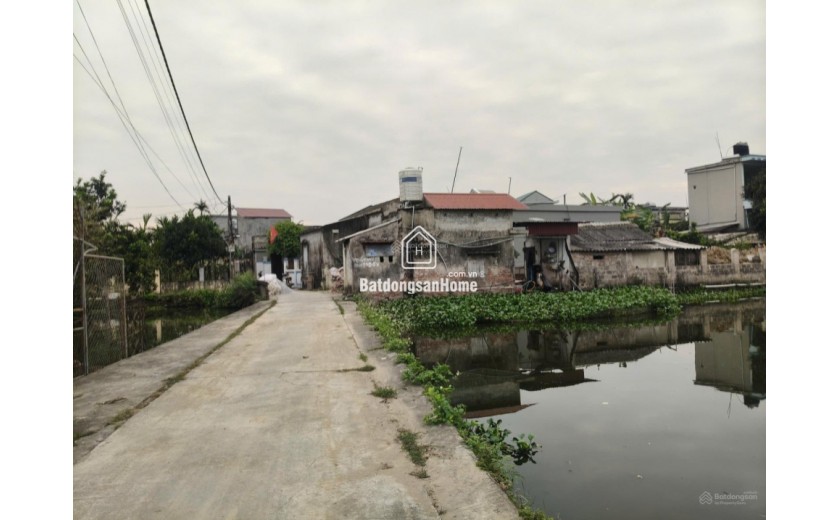 BÁN ĐẤT SƠN ĐỒNG QUỲNH GIAO (NAY LÀ XÃ MINH THỌ, HƯNG YÊN)