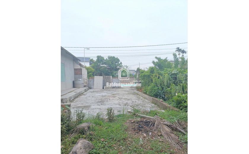 BÁN ĐẤT THÔN ĐÔNG HỒNG XÃ QUỲNH AN (TRƯỚC ĐÂY THUỘC QUỲNH BẢO, QUỲNH PHỤ, THÁI BÌNH)