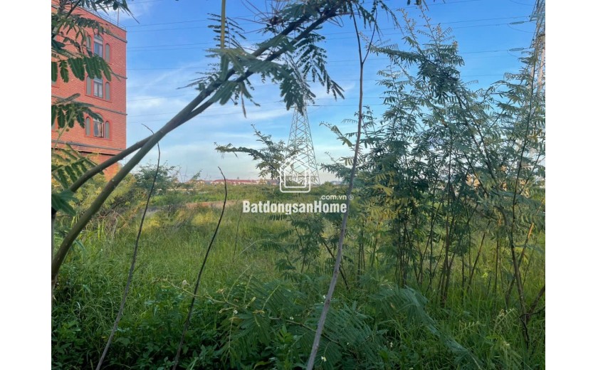 Bán đất biệt thự ven sông Nguyễn Đình Thi Hòa Xuân 525m2 gần cầu Trung Lương giá 29.8 tỷ