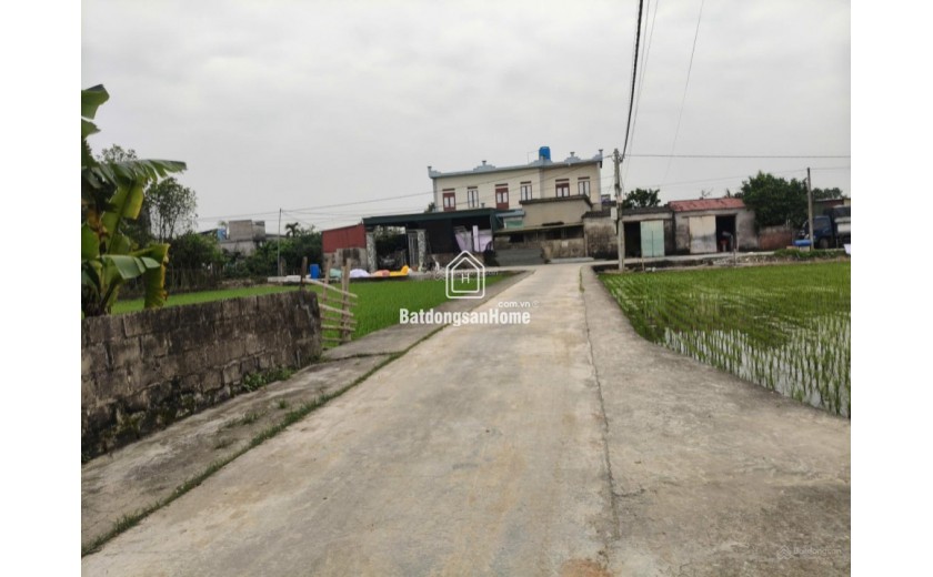 BÁN ĐẤT SƠN ĐỒNG QUỲNH GIAO (NAY LÀ XÃ MINH THỌ, HƯNG YÊN)