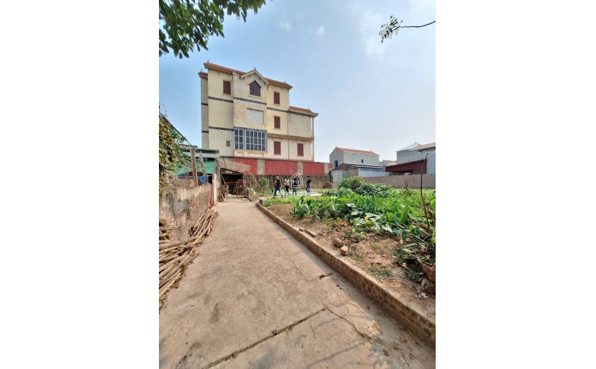 50,9m đất tại Trung Châu _ Liên Minh _ Hà Nội