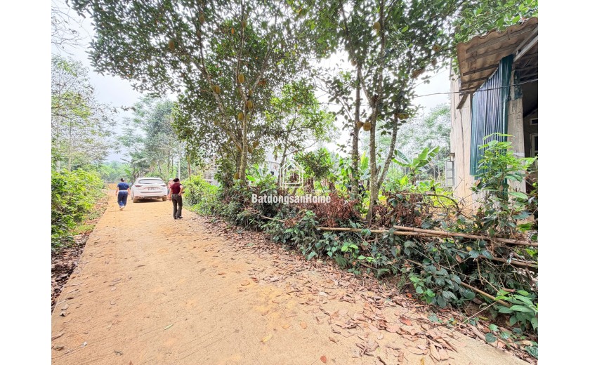 BÁN NHANH LÔ ĐẤT TIỀM NĂNG CAO – GIÁ CHỈ 400 TRIỆU 