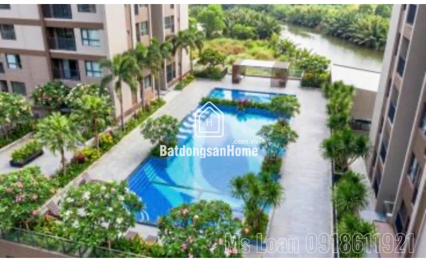 Căn hộ Mường Thanh Phú Hữu giá từ 45 triệu/m² – tiềm năng cho thuê chuyên gia khu Đông