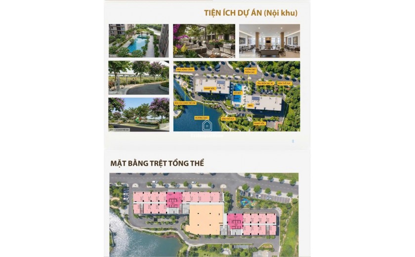 Căn hộ 3PN Mường Thanh Phú Hữu 81m² chỉ từ 3,6 tỷ – hiếm hàng khu Đông