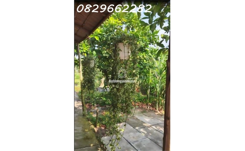 Bán Đất Có Thổ cư đường Nguyễn An Ninh Sa Đéc, 864m2 chỉ 2,5 tỷ