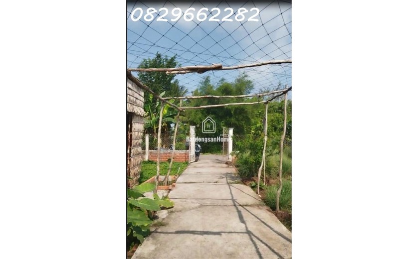 Bán Đất Thổ Cư 864m2 Sổ Hồng đường Nguyễn An Ninh Tân Quy Đông, Sa Đéc, Đồng Tháp, giá 2.5 Tỷ