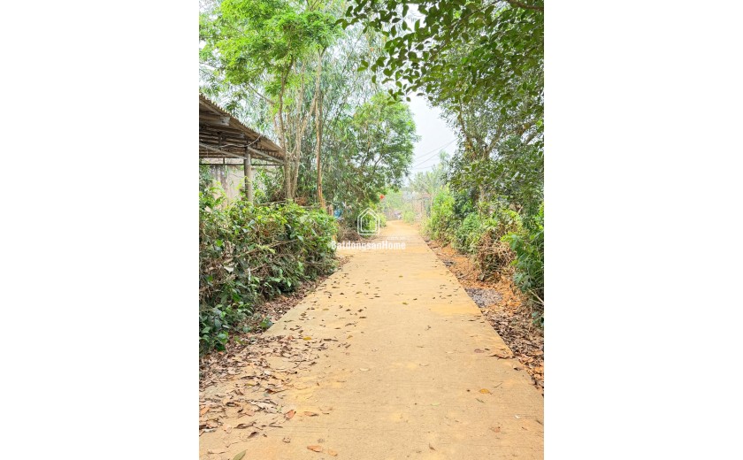 BÁN NHANH LÔ ĐẤT TIỀM NĂNG CAO – GIÁ CHỈ 400 TRIỆU 